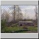 Timber Wolf Again.jpg
